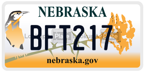 BFT217  license plate in NE