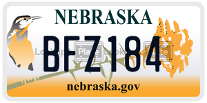 BFZ184  license plate in NE