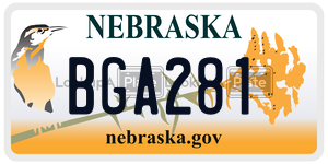 BGA281  license plate in NE
