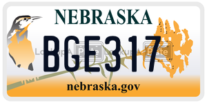 BGE317  license plate in NE