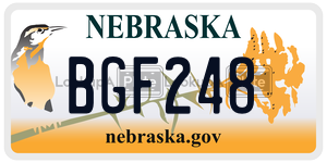BGF248  license plate in NE