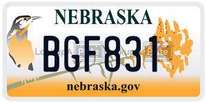 BGF831  license plate in NE