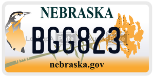 BGG823  license plate in NE