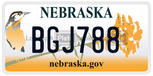 BGJ788  license plate in NE