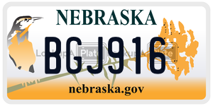 BGJ916  license plate in NE