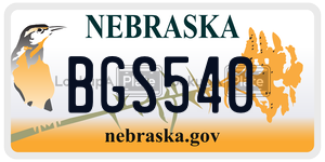 BGS540  license plate in NE