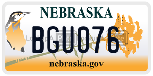 BGU076  license plate in NE