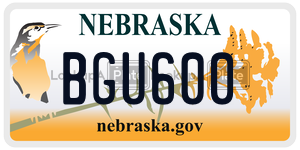 BGU600  license plate in NE