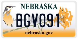 BGV091  license plate in NE
