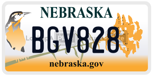 BGV828  license plate in NE