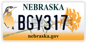 BGY317  license plate in NE