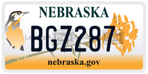 BGZ287  license plate in NE