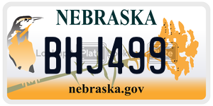 BHJ499  license plate in NE