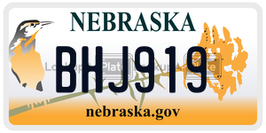 BHJ919  license plate in NE
