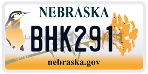 BHK291  license plate in NE