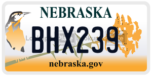 BHX239  license plate in NE