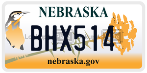 BHX514  license plate in NE