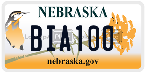 BIA100  license plate in NE