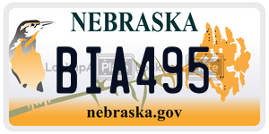 BIA495  license plate in NE