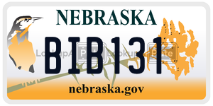 BIB131  license plate in NE