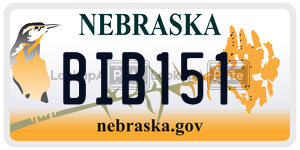 BIB151  license plate in NE
