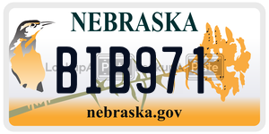 BIB971  license plate in NE