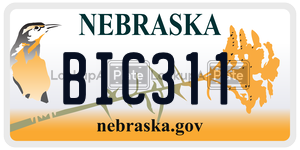 BIC311  license plate in NE