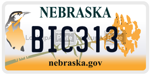 BIC313  license plate in NE