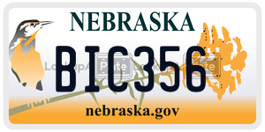 BIC356  license plate in NE