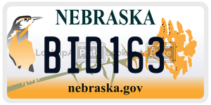 BID163  license plate in NE