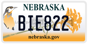 BIE822  license plate in NE
