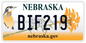 BIF219  license plate in NE
