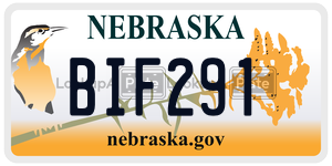 BIF291  license plate in NE