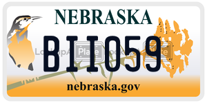 BII059  license plate in NE
