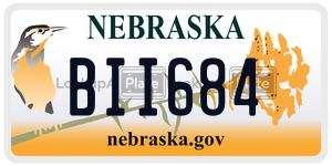 BII684  license plate in NE