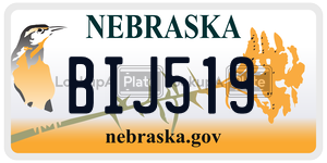 BIJ519  license plate in NE