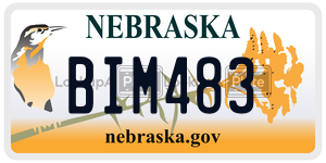 BIM483  license plate in NE