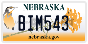 BIM543  license plate in NE