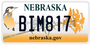 BIM817  license plate in NE