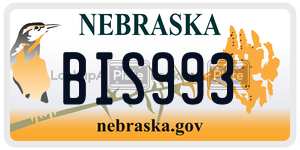 BIS993  license plate in NE