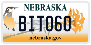 BIT060  license plate in NE