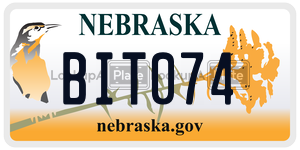 BIT074  license plate in NE