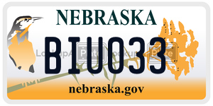 BIU033  license plate in NE