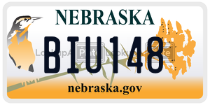 BIU148  license plate in NE
