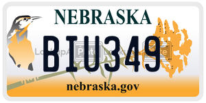 BIU349  license plate in NE