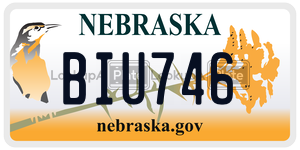BIU746  license plate in NE