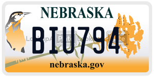 BIU794  license plate in NE