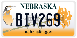 BIV269  license plate in NE