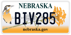 BIV285  license plate in NE