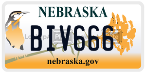 BIV666  license plate in NE